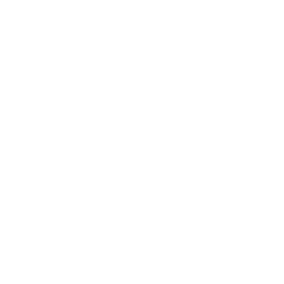 W3C